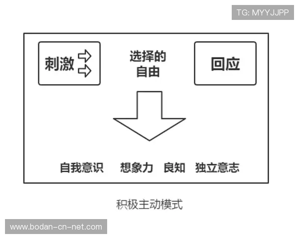 怎么开发波胆预测模型避坑指南防骗稳赢秘诀